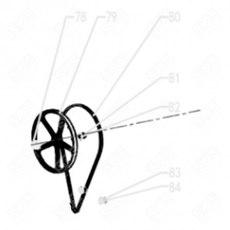 PULEGGIA (CODICE 79) LAVATRICE - LA000752